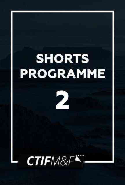 CTIFF Shorts 2 poster