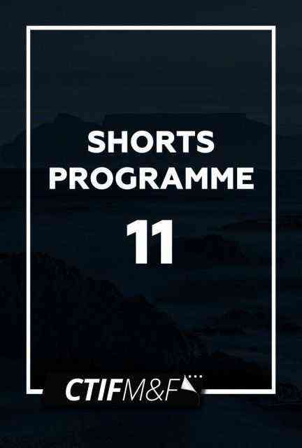 CTIFF Shorts 11 poster