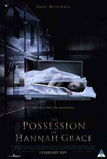 Possession of Hannah Grace, The poster