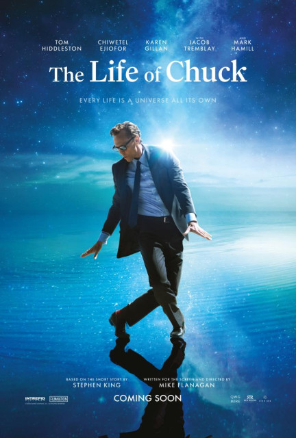 The Life of Chuck poster