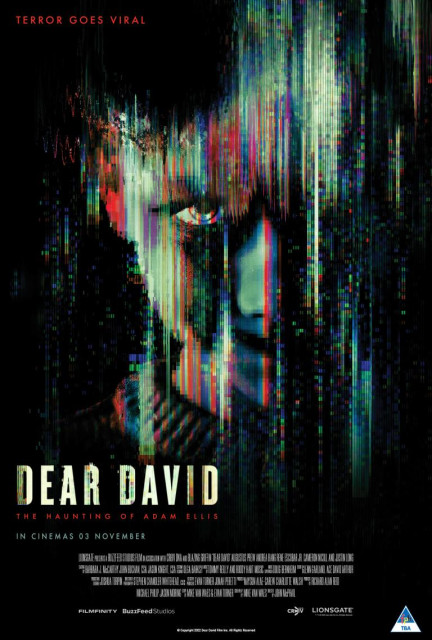 Dear David poster