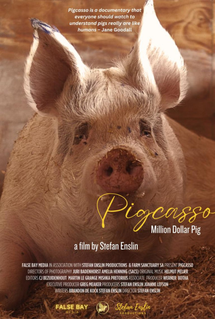 Pigcasso: Million Dollar Pig (DIFF) poster
