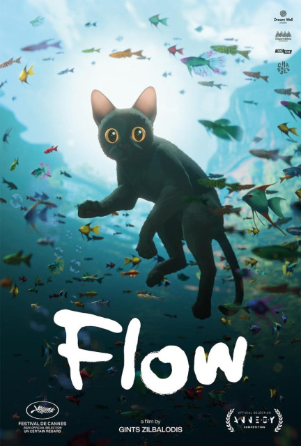 Flow (Re-Release) poster