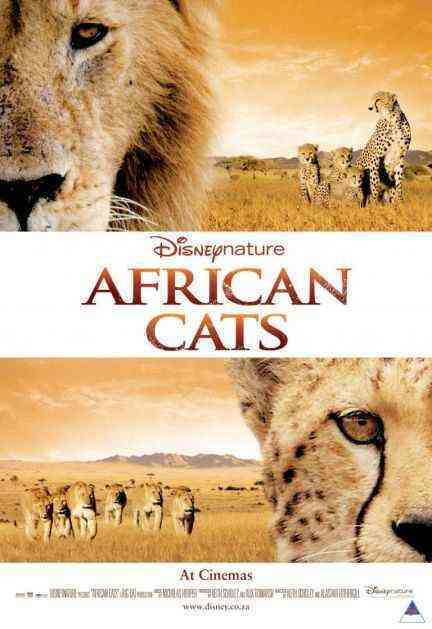 African Cats poster